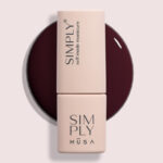 SMALTO SEMIPERMANENTE SIMPLY 19